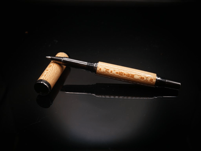 stylo roller zara en Platane model unique