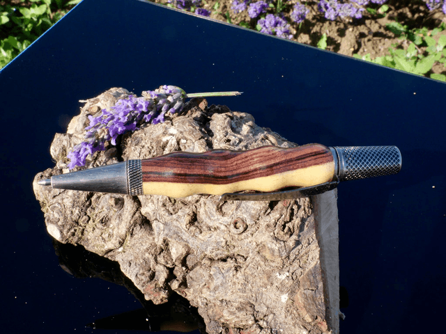 Sirius bille bois de violette