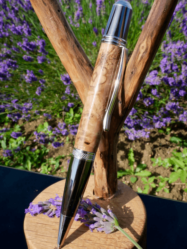 Sumatra bille loupe de Maronier