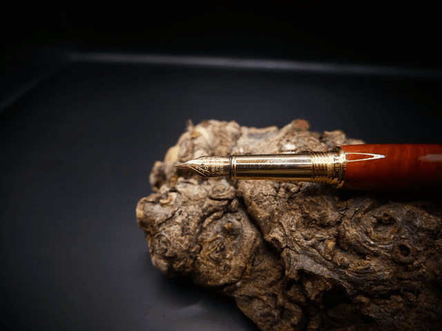 Stylo plume borgne racine de Bruyère