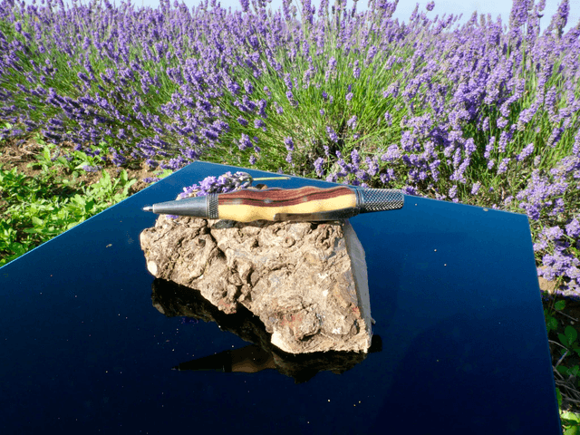 Sirius bille bois de violette